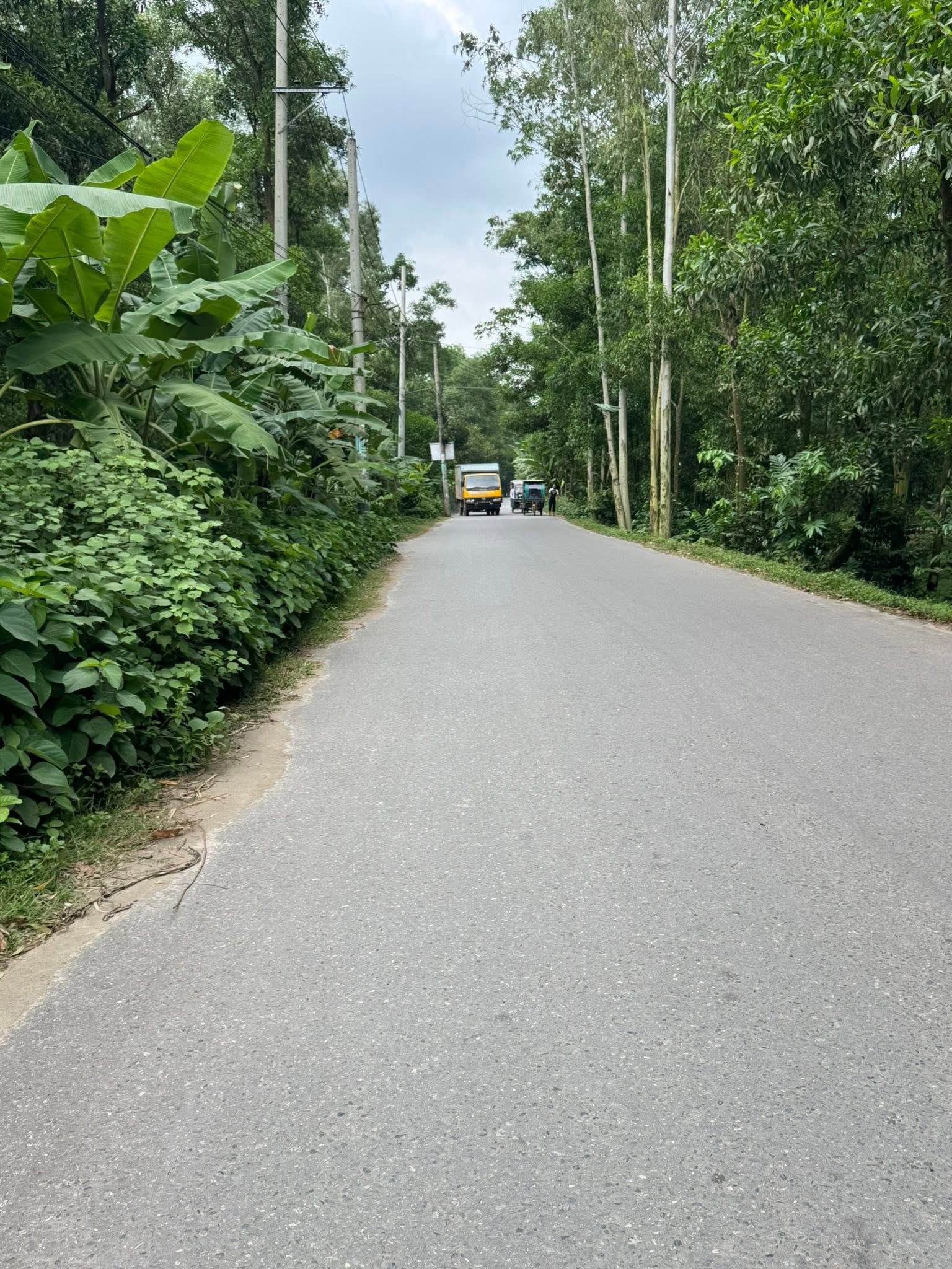 Salna Simultali Road to Naga Bridge